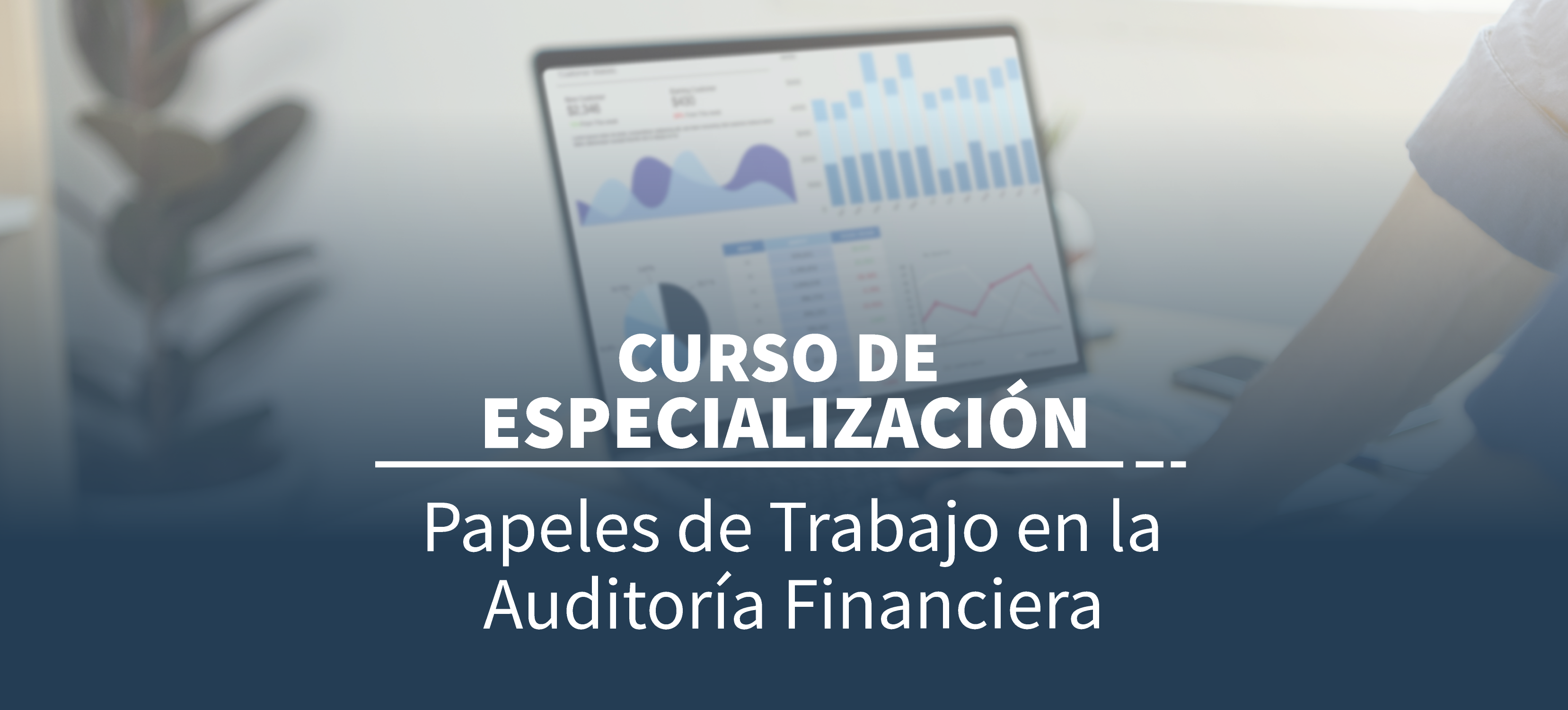 CURSO DE ESPECIALIZACION : PAPELES DE TRABAJO EN LA AUDITORIA FINANCIERA 